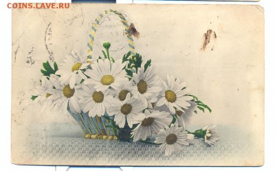 Открытка Ромашки 1914г. - открытка ромашки 1914