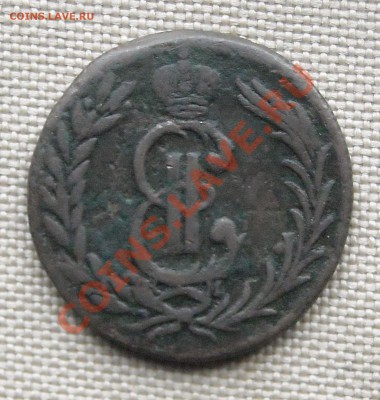 Помогите, пожалуйста, опознать "сибирячку". - DSCN4665.JPG