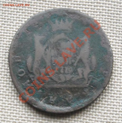 Помогите, пожалуйста, опознать "сибирячку". - DSCN4659.JPG