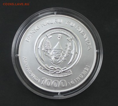 1000 франков (серебро) Руанда 2008 г. африканские львы - IMG_4030