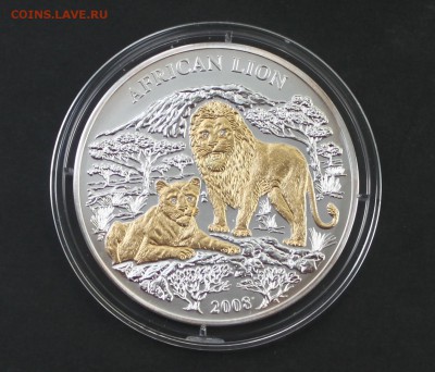 1000 франков (серебро) Руанда 2008 г. африканские львы - IMG_4031