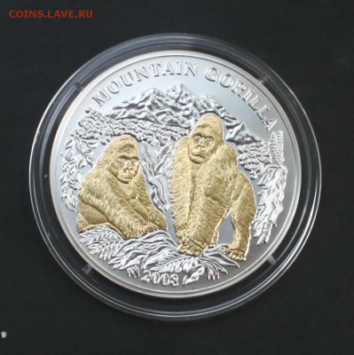 1000 франков (серебро) Руанда 2008 г. Горилла - IMG_4040