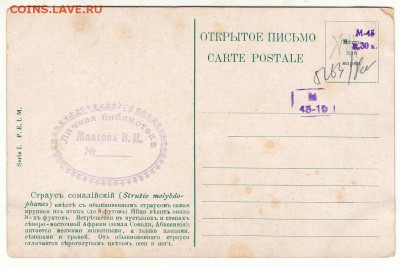 Коллекция открыток:мода, НЮ, охота, праздники, агитация и др - 176+
