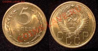 5 копеек 1955 AUNC до 22.12.10 в 22-00 Мск - 5 55