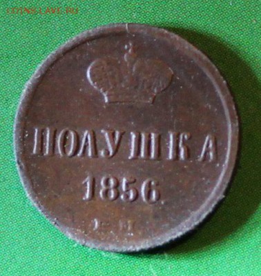 Полушка 1856 ем до 25.10.2016 - IMG_1040.JPG