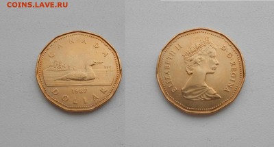 Канада 1$ доллар 1987 Гагара - DSCN3530.JPG