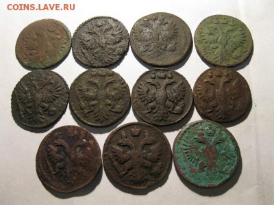11 полушек 1731,36,37,50 одним лотом - IMG_7047.JPG