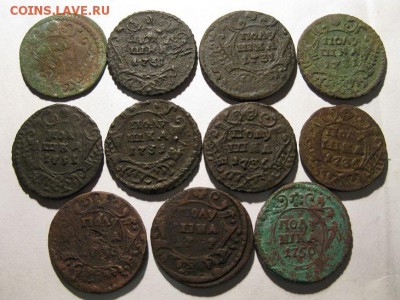 11 полушек 1731,36,37,50 одним лотом - IMG_7045.JPG