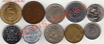 ЗОО №1 Парнокопытные до 22.12.10 в 22.00 мск - img533