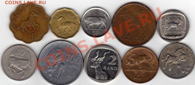 ЗОО №2 Копытные до 22.12.10 в 22.00 мск - img534