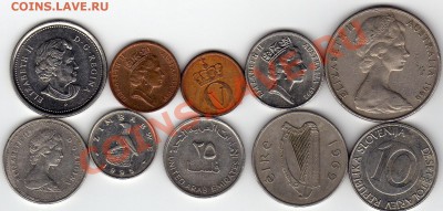 ЗОО №3 Скот по роду его до 22.12.10 в 22.00 мск - img537