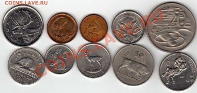 ЗОО №3 Скот по роду его до 22.12.10 в 22.00 мск - img536