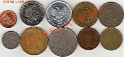 ЗОО №4 Птицы большие и малые до 22.12.10 в 22.00 мск - img539
