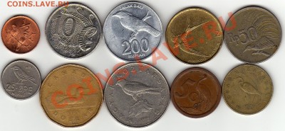 ЗОО №4 Птицы большие и малые до 22.12.10 в 22.00 мск - img538