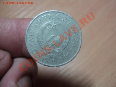 2 фотринта 1950г.Венгрия.Оценка - DSC01551.JPG