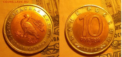 С 200 Руб.! Красная Книга 91-92гг. до 27.10.2016 в 22-00 - краснозобая казарка