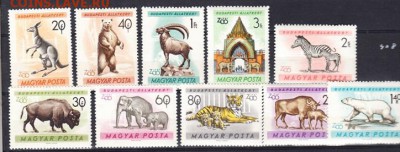 Венгрия 1961 зоопарк - Копия (2) 29