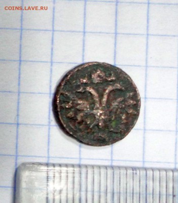 ВРП 1719 года в сохране - DSC02517.JPG