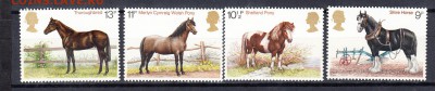 Великобритания 1978 кони - 108