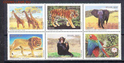 Бразилия 2007 фауна - 106