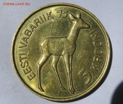РЕДКАЯ - без М. - 001.JPG