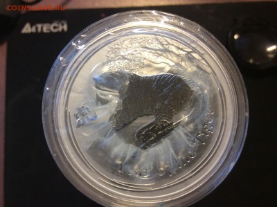 Тубус монеты Австралии 999 - IMG_1731.JPG