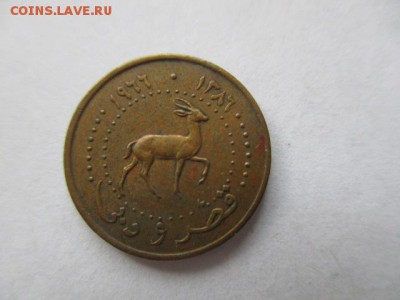 Катар и Дубаи 1 дирхем 1966 - IMG_5378.JPG
