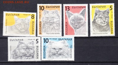 Болгария 1989 кошки - 2