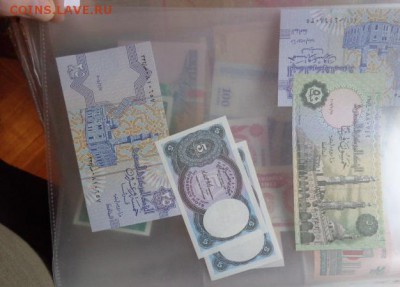 Египет 5-25-50   UNC до 27.10  в 21-30 мск - DSC05598.JPG