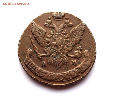 5 копеек 1794 АМ. Оценка. - 24.10.2016 COINS 009.JPG