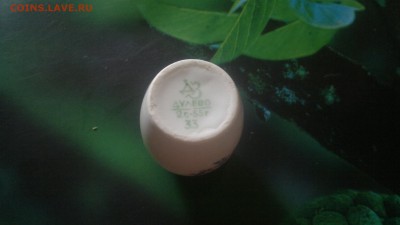 Горчичница Дулево,до 29.10.в 23.00 - 2016-10-24-2974[1]