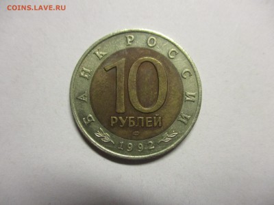 Краснозобая казарка с расколом - IMG_8454.JPG
