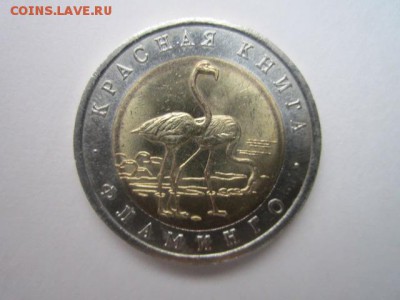 с 200 кк 1994 Фламинго анц до 30.10.2016 в 22:30 - IMG_1012.JPG