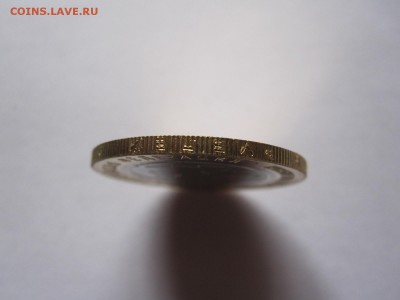 Алания гурт Сочи из мешка 27.10 22:00 - IMG_9136.JPG