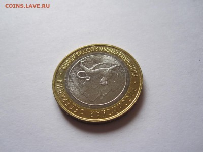 Алания гурт Сочи из мешка 27.10 22:00 - IMG_9131.JPG
