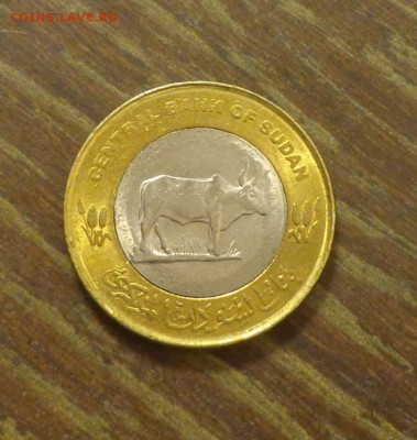 СУДАН - 20п КОРОВА БИМ до 1.11, 22.00 - Судан 20 п корова БИМ_1