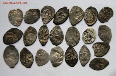 22 чешуи Ивана 3 - DSC06454.JPG