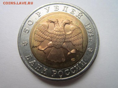 с 200 кк 1993 Афалина  до 30.10.2016 в 22:30 - IMG_1046.JPG