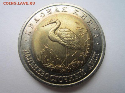 с 200 кк 1993 Аист до 30.10.2016 в 22:30 - IMG_1041.JPG
