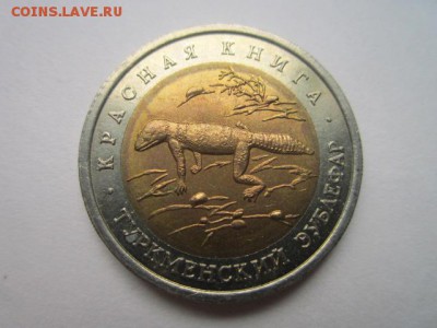 с 200 кк 1993 Зублефар до 30.10.2016 в 22:30 - IMG_1037.JPG