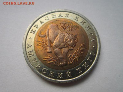 с 200 кк 1992 Тигр до 30.10.2016 в 22:30 - IMG_1033.JPG