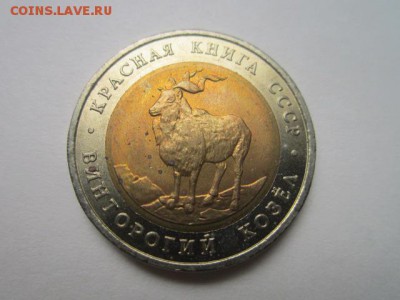с 200 кк 1991 Козёл до 30.10.2016 в 22:30 - IMG_1047.JPG