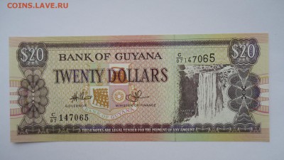 ГАЙАНА 20 ДОЛЛАРОВ ДО 01.11 22:00 МСК - DSC02189.JPG