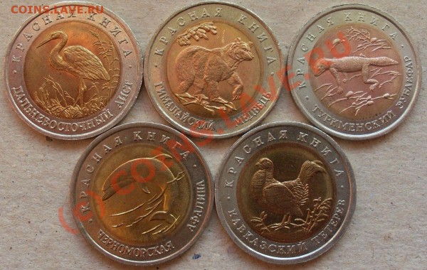КРАСНАЯ КНИГА 1993 ДО 05.03 22-00 МСК - SL381181.JPG