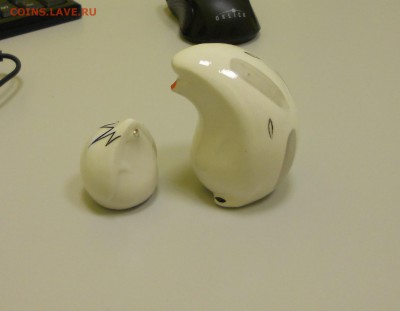 Ежики Хайта опознание оценка - DSCN0005.JPG