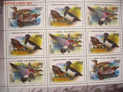 Марки на оценку - P1370471.JPG