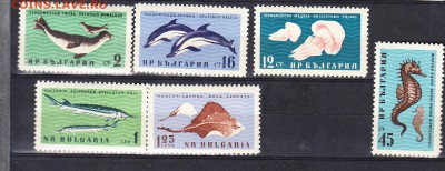 Болгария 1961 морская фауна - 127