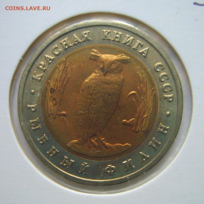 КК "Рыбный филин" 1991г. до 22.00ч. 31.10.2016г. - S8000660.JPG