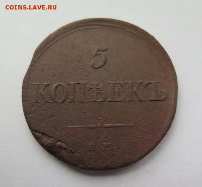 5 копеек 1831 Е.М. Ф.Х. до 29-10-2016 - 12