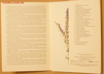 32 открытки Лекарственные растения - DSC03595.JPG